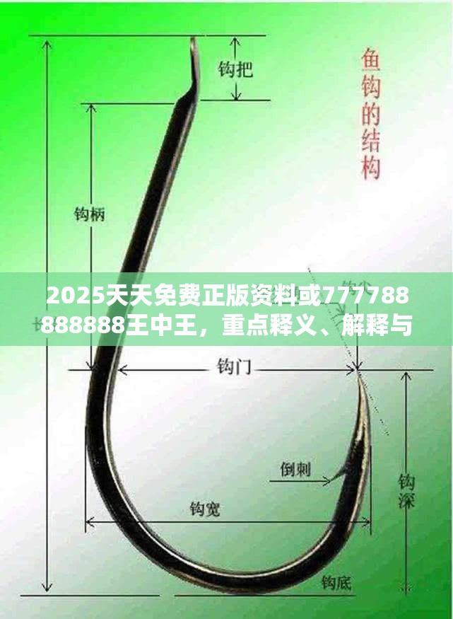 2025天天免费正版资料或777788888888王中王，重点释义、解释与落实,警惕不实的钓鱼钩