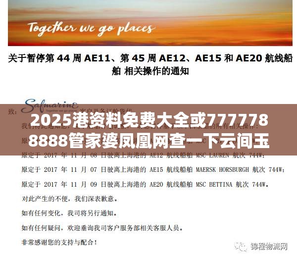 2025港资料免费大全或7777788888管家婆凤凰网查一下云间玉箭，标准释义、专家解读解释与落实?留心虚假的虚架势