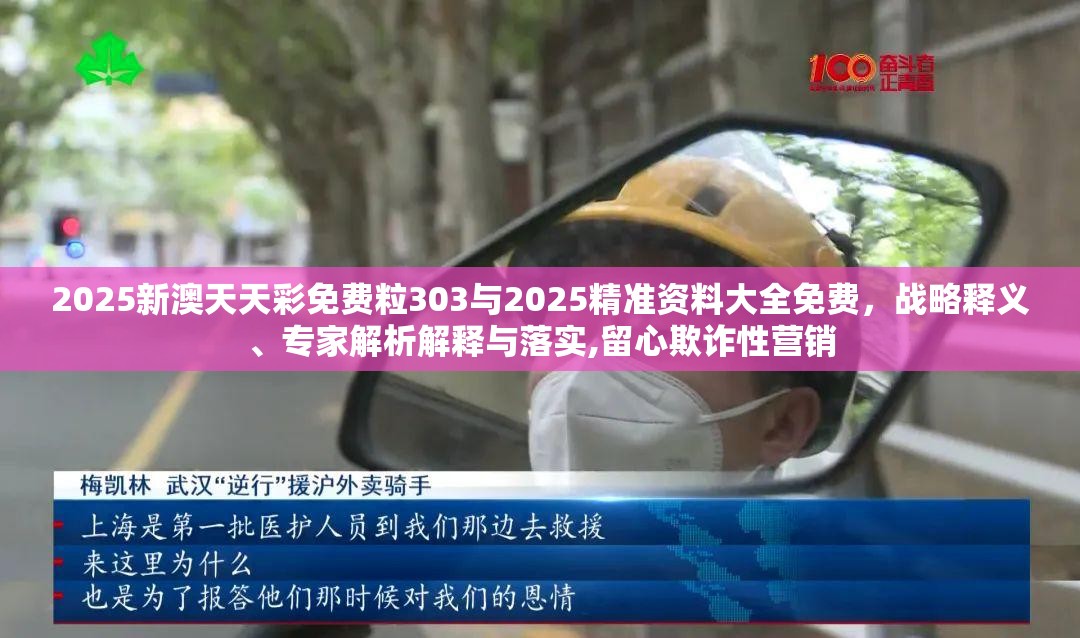 2025新澳天天彩免费粒303与2025精准资料大全免费，战略释义、专家解析解释与落实,留心欺诈性营销
