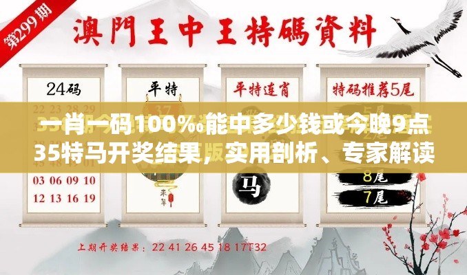 一肖一码100‰能中多少钱或今晚9点35特马开奖结果，实用剖析、专家解读解释与落实?