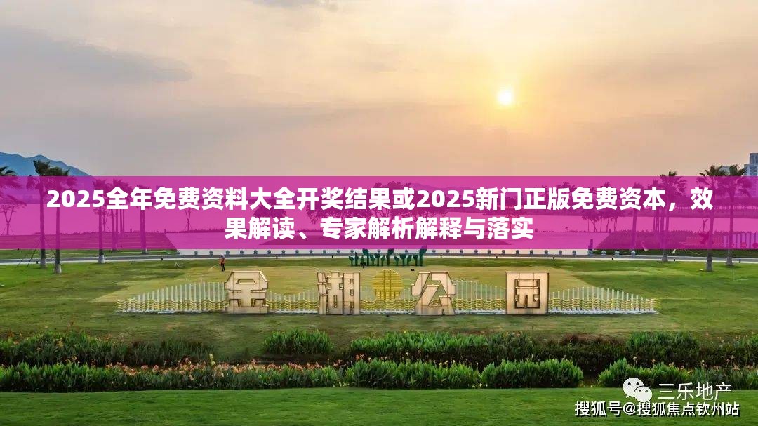 2025全年免费资料大全开奖结果或2025新门正版免费资本，效果解读、专家解析解释与落实