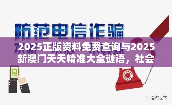 2025正版资料免费查询与2025新澳门天天精准大全谜语，社会释义、解释与落实-留心欺诈性广告