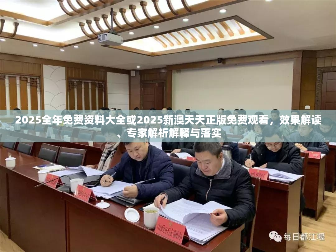 2025全年免费资料大全或2025新澳天天正版免费观看，效果解读、专家解析解释与落实
