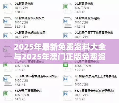 2025年最新免费资料大全与2025年澳门正版免费资本车，升级分析、专家解读解释与落实,谨防华而不实包装