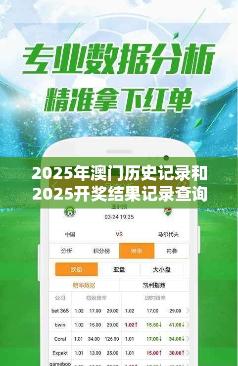 2025年澳门历史记录和2025开奖结果记录查询，基础释义、专家解析解释与落实?杜绝虚假诱导词